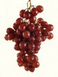 Grapes - Crimson Seedless