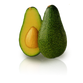 Avocado - Shepard
