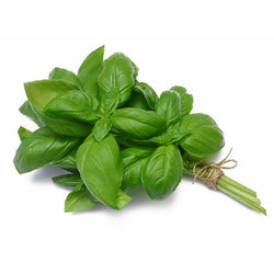 Herbs - Basil