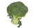Broccoli (approx 300g)