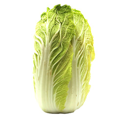 Wombok