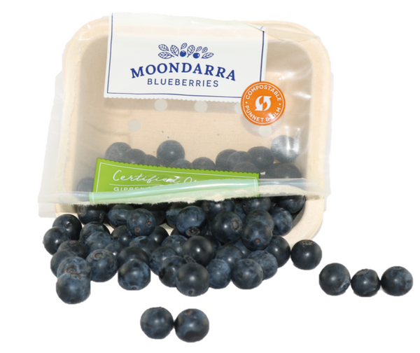 Blueberries - 1 punnet