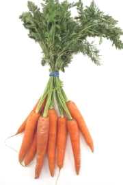 Carrot - Dutch