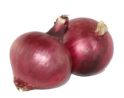 Onion - Red (med size)