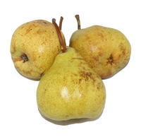 Pear - Packham