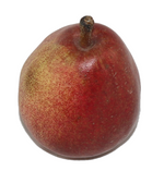 Pear - Red Anjou