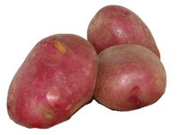 Potatoes - Desiree