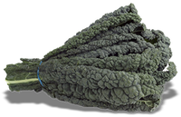 Kale - Black Cabbage