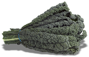 Kale - Black Cabbage